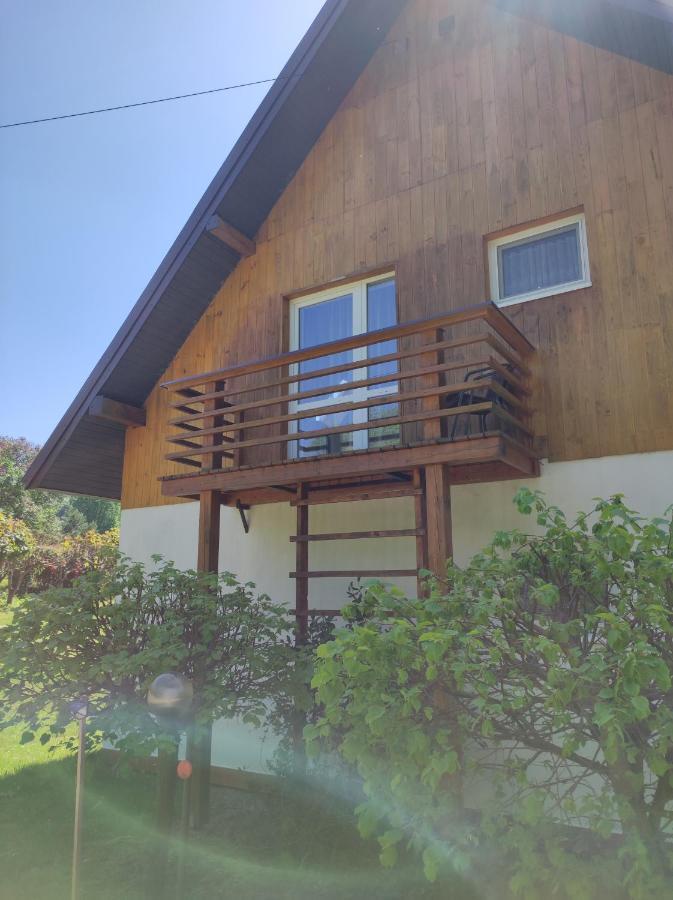 Rezydencja Bukowy Dwor Czarna  Extérieur photo