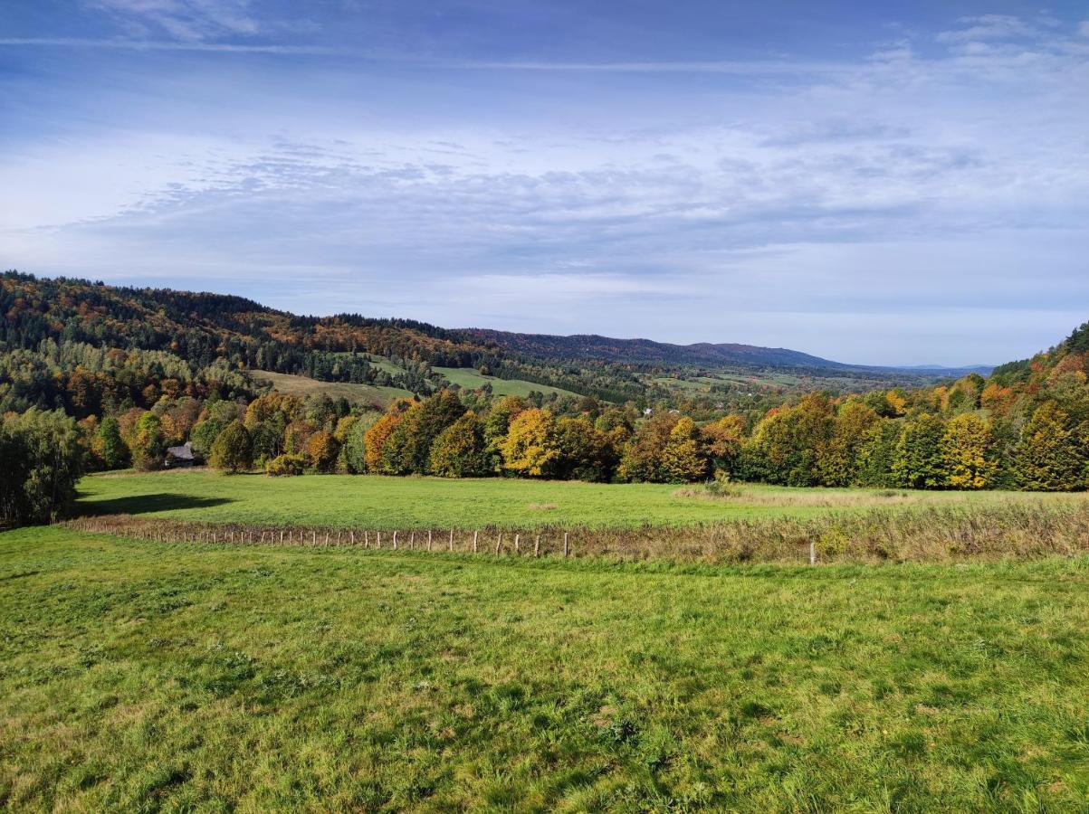 Rezydencja Bukowy Dwor Czarna  Extérieur photo